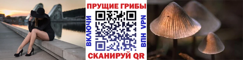цены   Гремячинск  Галлюциногенные грибы мицелий 